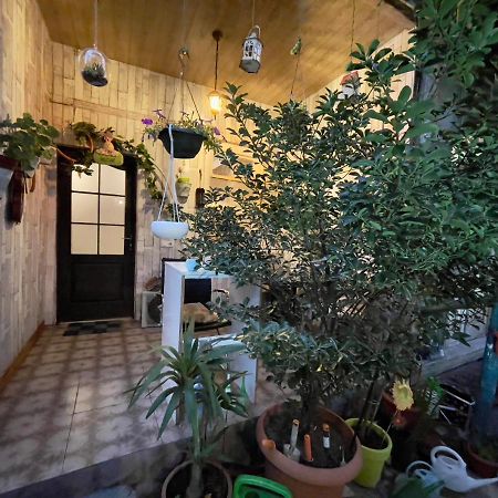 MR Guest House Tbilissi Extérieur photo