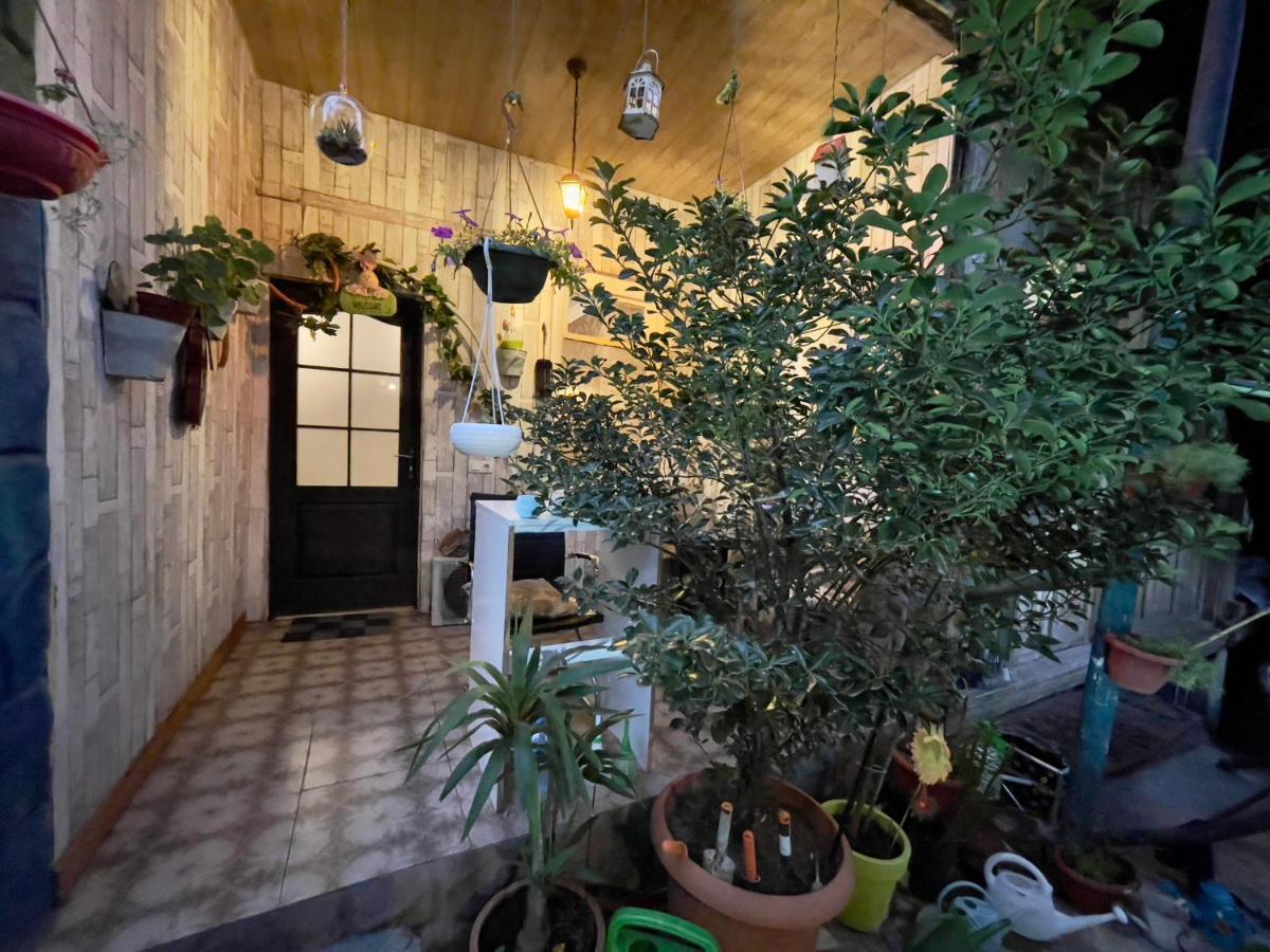 MR Guest House Tbilissi Extérieur photo